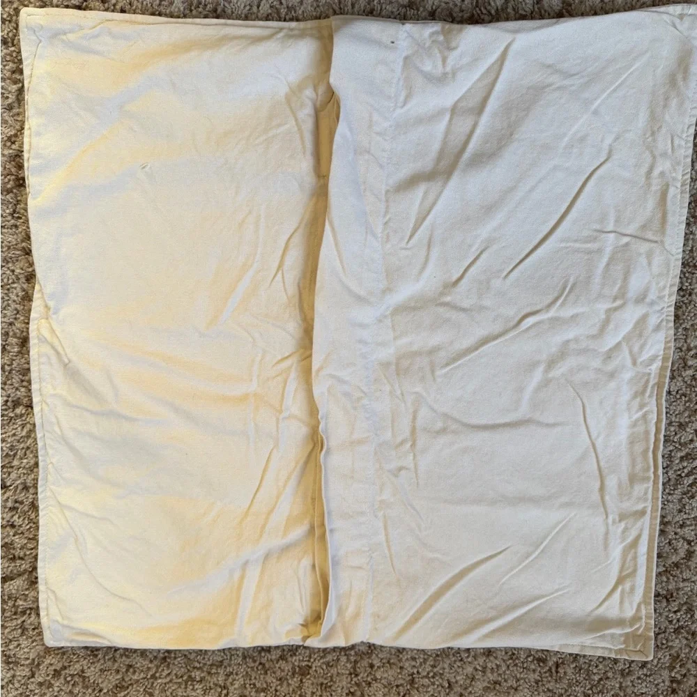 Pottery Barn 20 x 20 pumpkin patch crewel embroidered pillow cover cream green